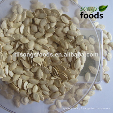 Graines de citrouille jaunes chinoises 11cm, 12cm, 11mm, 12mm